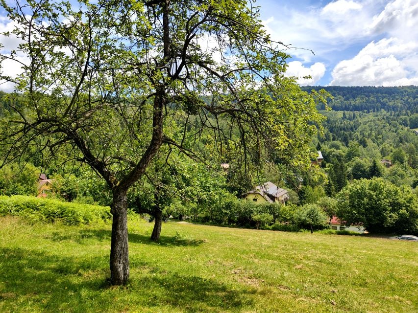 Działka Wisła