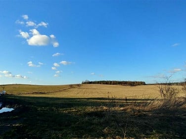 Działka inna Biała Piska