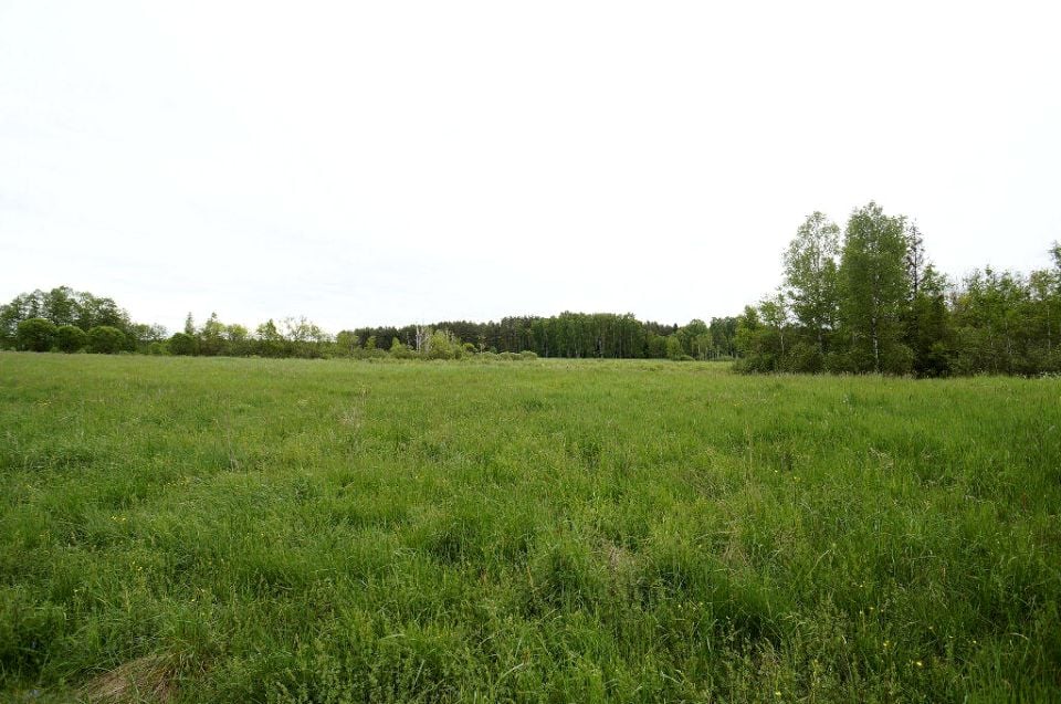 Działka inna Ełk