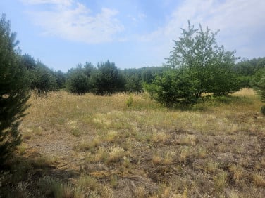 Działka nad rzeką