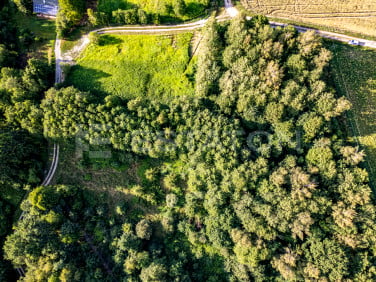 Działka Nowy Borek