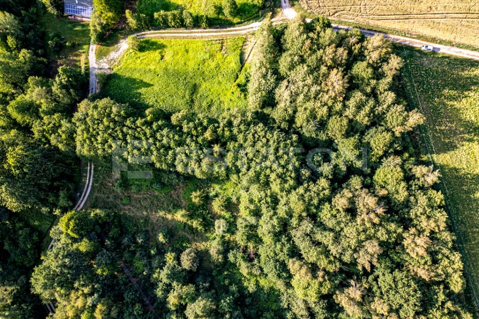 Działka Nowy Borek