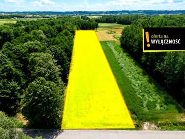 Działka budowlana Płucki