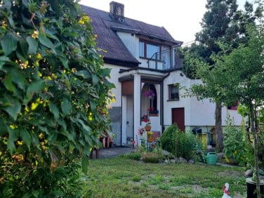 Dom Sztutowo sprzedaż