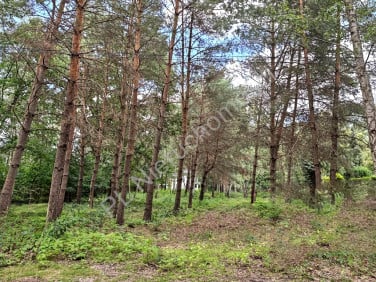 Działka Komorów