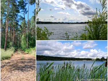 Działka Brzezinki