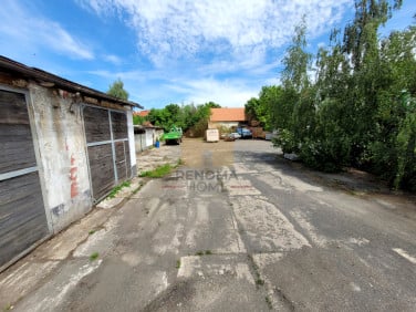 Lokal Legnica