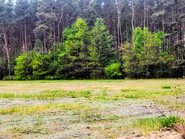 Działka inna Mieszkowo