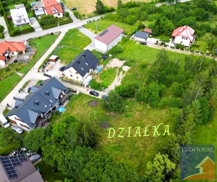 Zdjęcie 2
