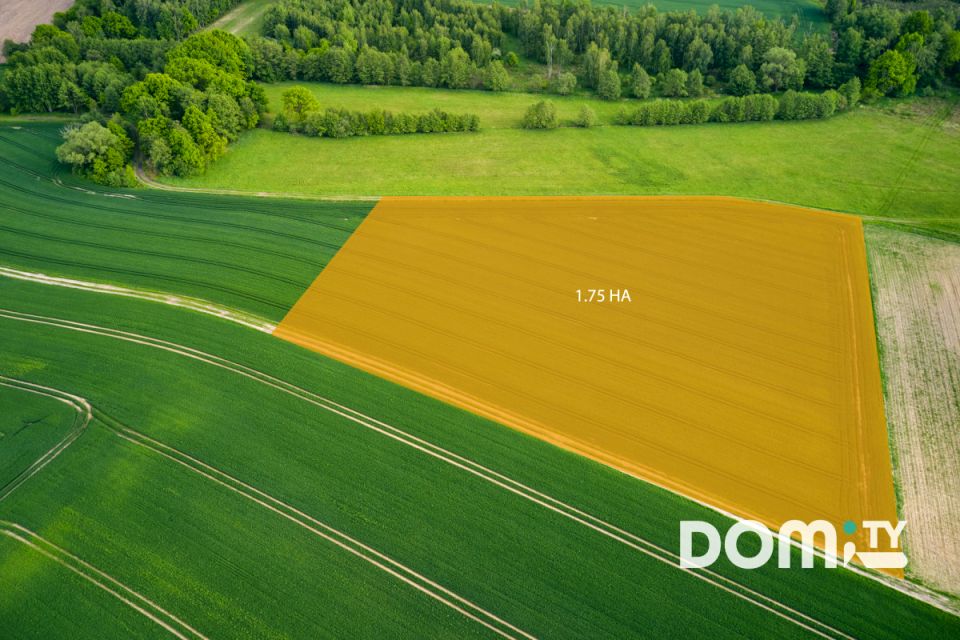 Zdjęcie 2