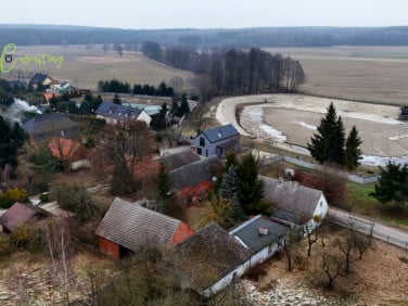 Dom Jawor
