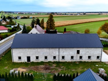 Lokal Szczury