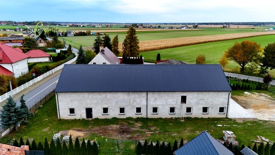 Lokal Szczury
