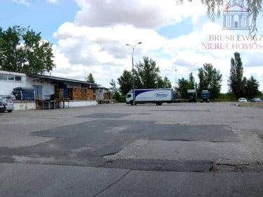 Lokal Gorzów Wielkopolski
