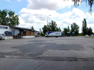 Lokal Gorzów Wielkopolski
