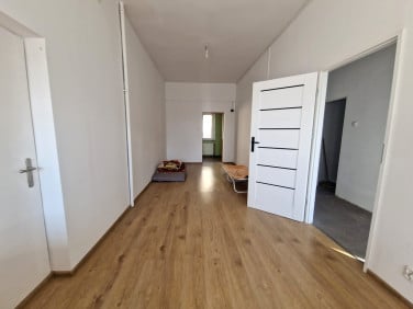 Lokal Gorzów Wielkopolski wynajem