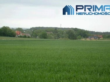 Działka rolna Siadło Górne