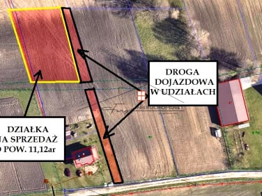 Działka budowlana Przychojec