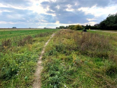 Działka budowlana Parczew
