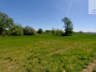 Działka budowlana Bogdaniec
