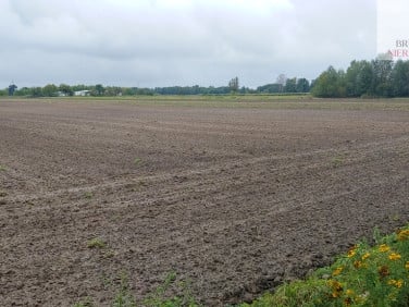 Działka rolna Gorzów Wielkopolski