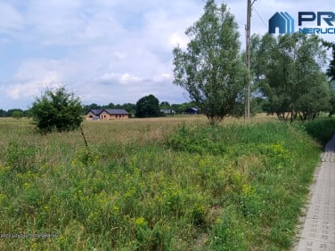 Działka siedliskowa Łęgi