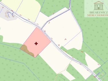 Działka rolna Nowe Kurowo
