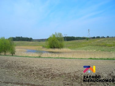 Działka rolna Kinice