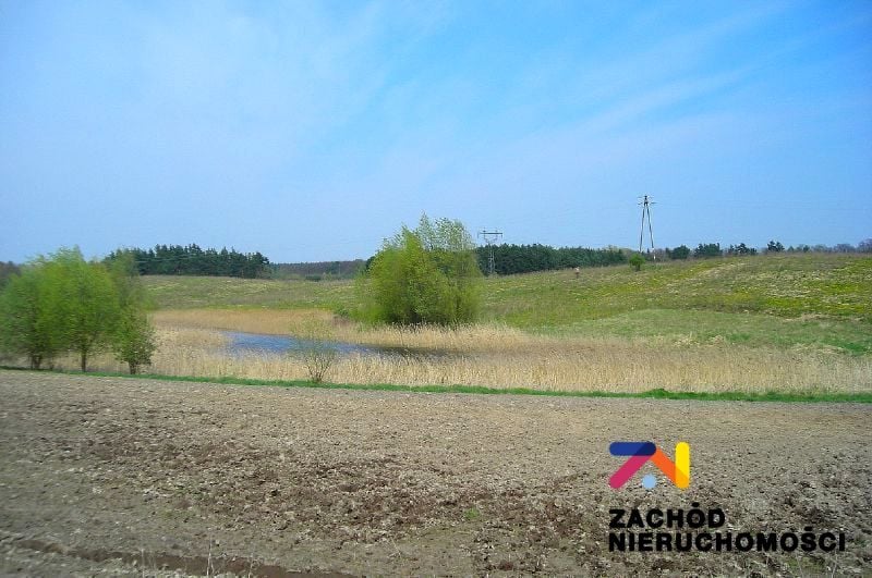 Działka rolna Kinice