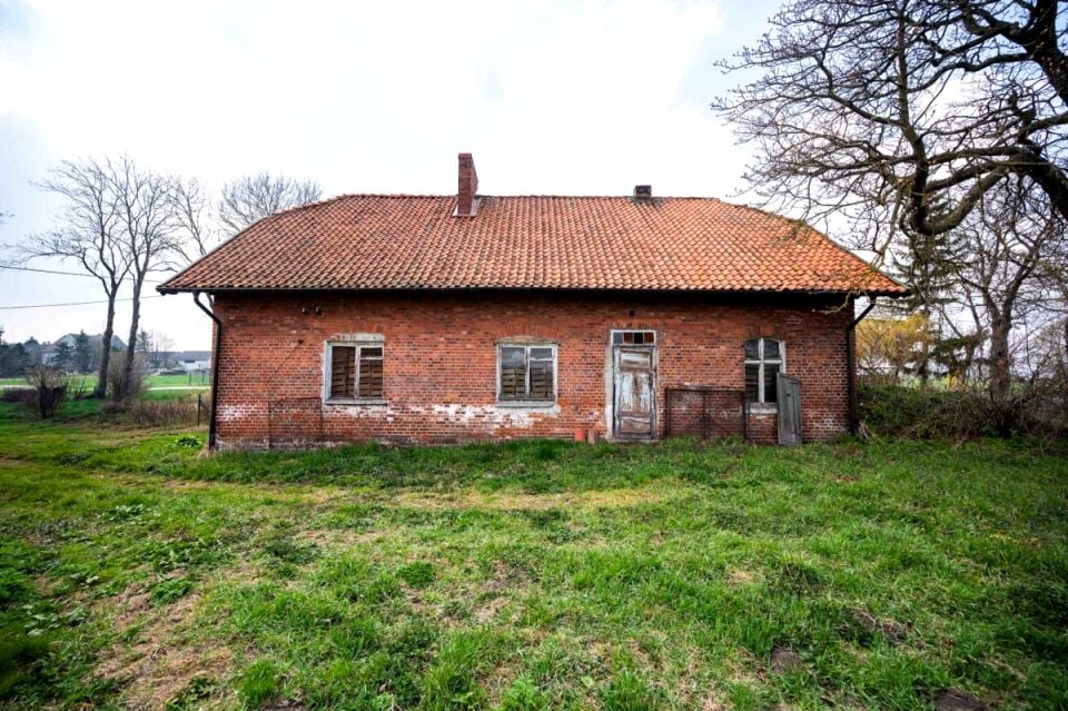 Zdjęcie 3