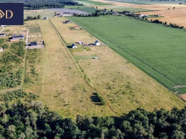 Działka Nieczajna