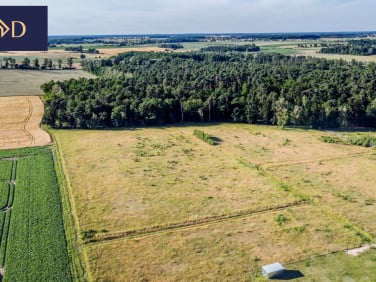 Działka inna Nieczajna