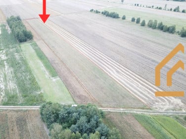 Działka rolna Białaczów