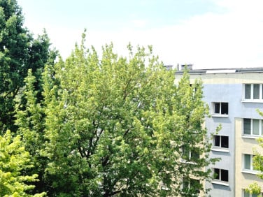 Mieszkanie Poznań