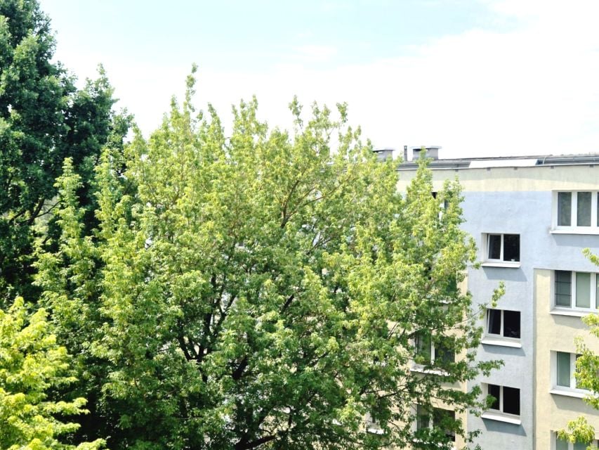 Mieszkanie Poznań