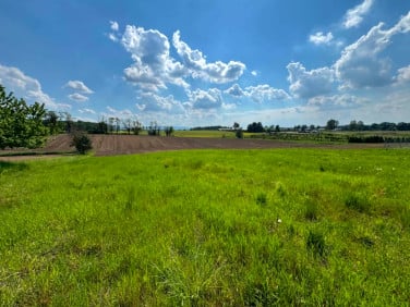 Działka Pisarzowice