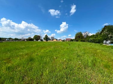 Działka Pisarzowice