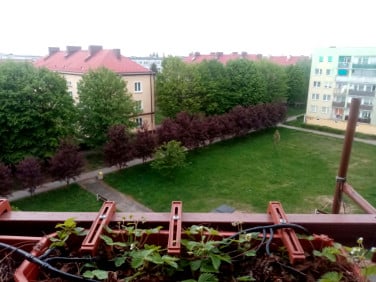 Mieszkanie Jelcz-Laskowice sprzedaż