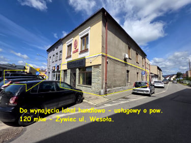 Lokal Żywiec