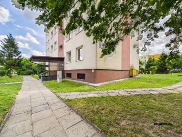 Mieszkanie Kielce