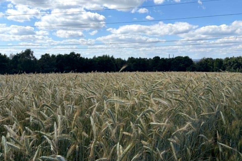 Działka rolna Radziszów