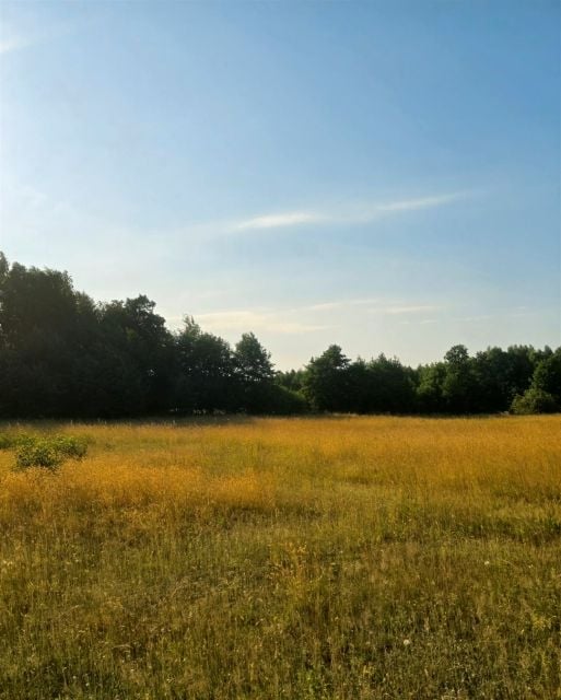Działka budowlano-rolna Dzierżawy