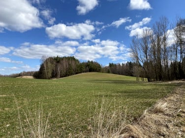 Działka Knipy