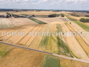 Działka siedliskowa Chociszew