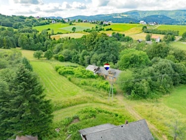 Dom Pisarzowa