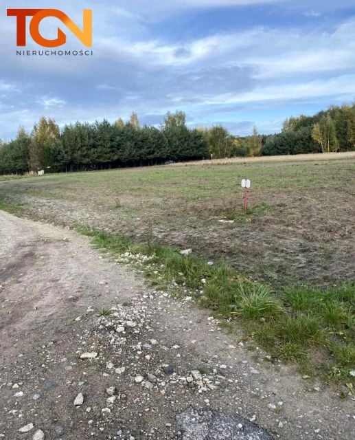 Działka Skotniki