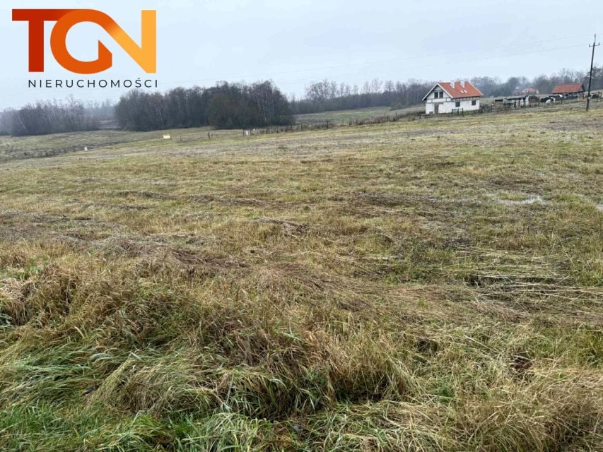 Działka Muntowo