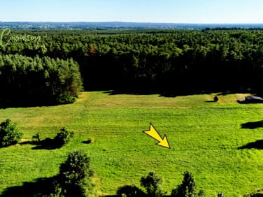 Działka inna Wszewilki sprzedam