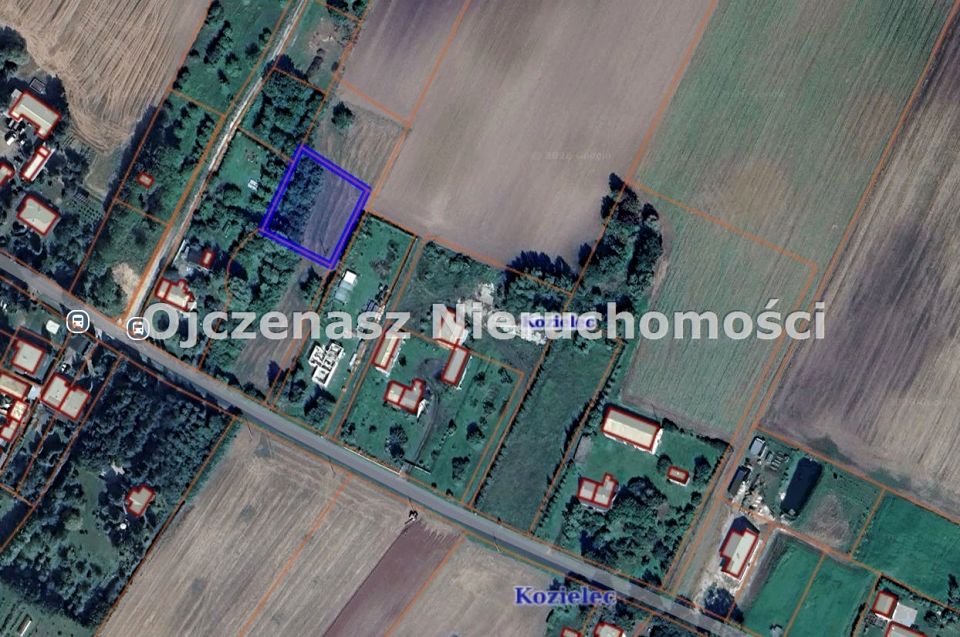 Zdjęcie 3