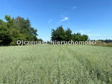 Działka inwestycyjna Kozielec